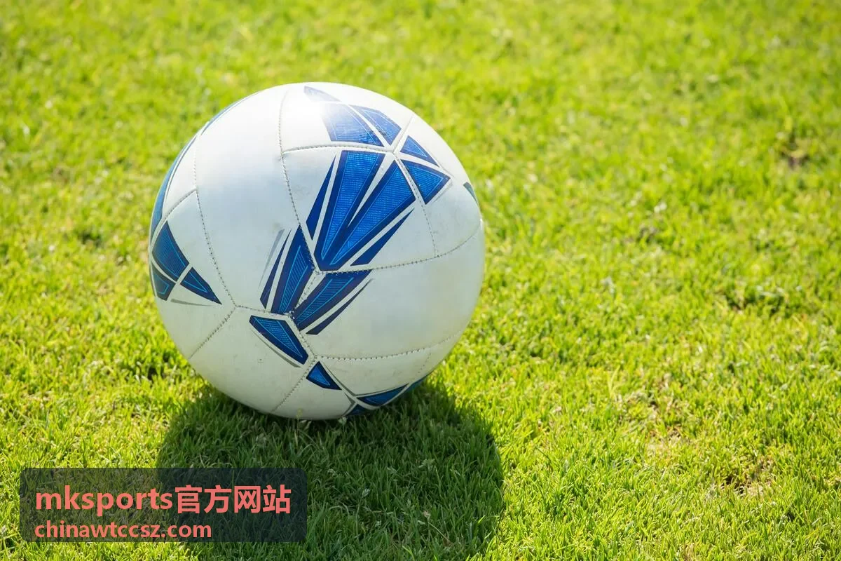 mksports官方网站 场外互动体验区展示